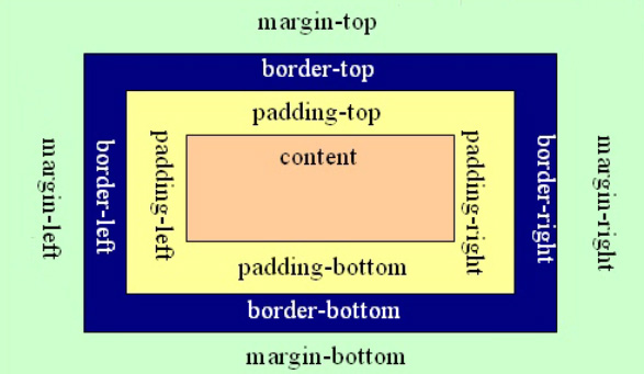 盒子模型示例图片